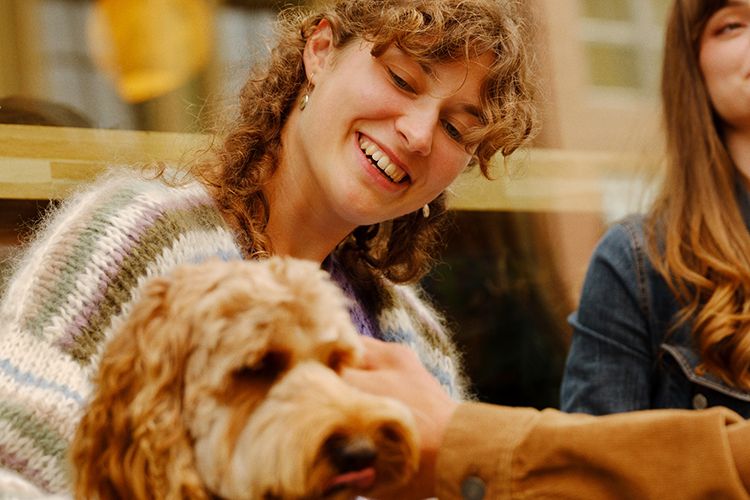 En person klapper en hund foran et vindu