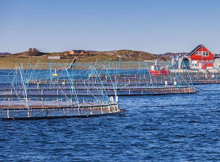 utendørsmobildekning for merder til havs