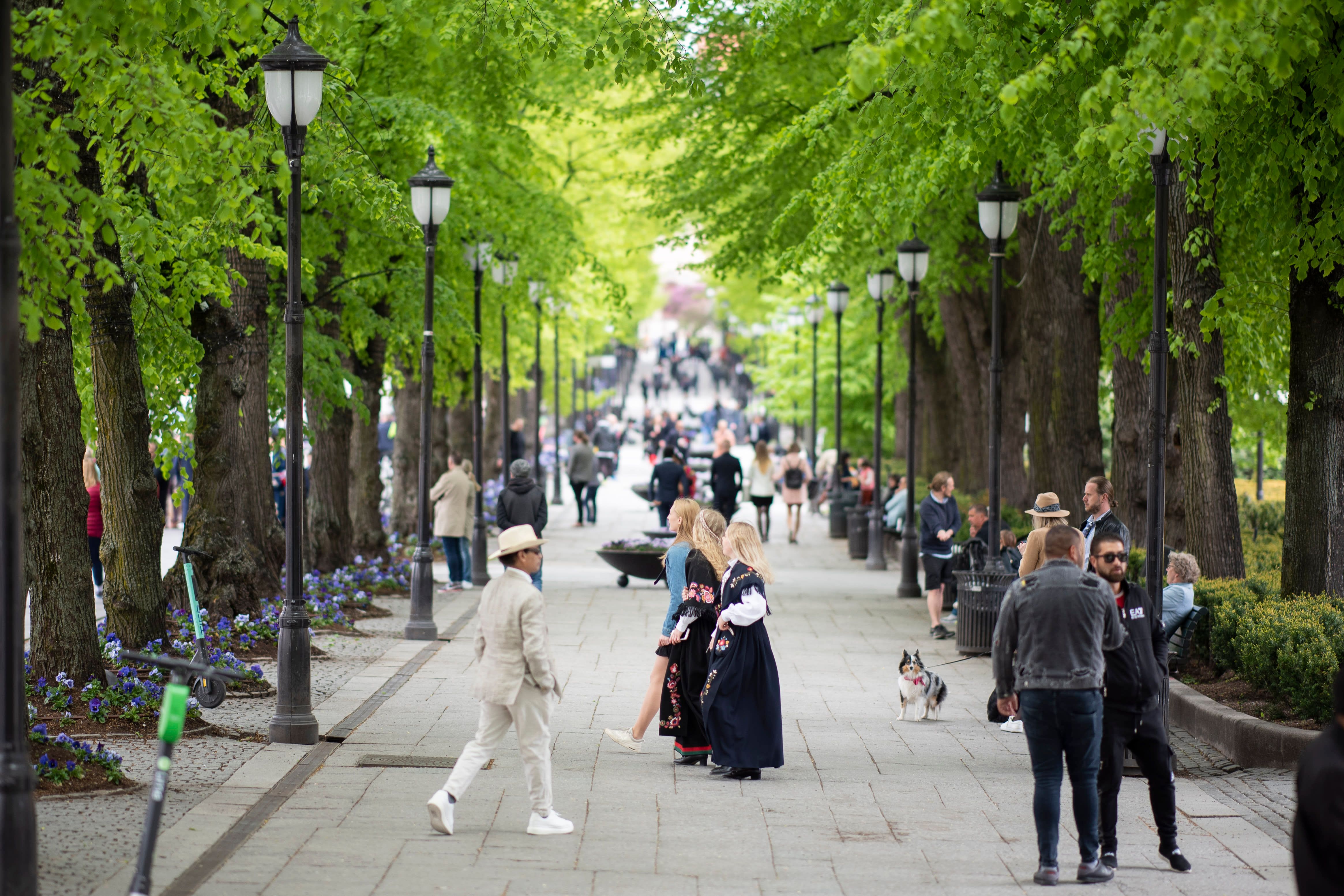 Mange nordmenn blir utsatt for ulike typer koronasvindel. Telenor advarer mot svindel på nasjonaldagen. Foto: Martin Fjellanger.