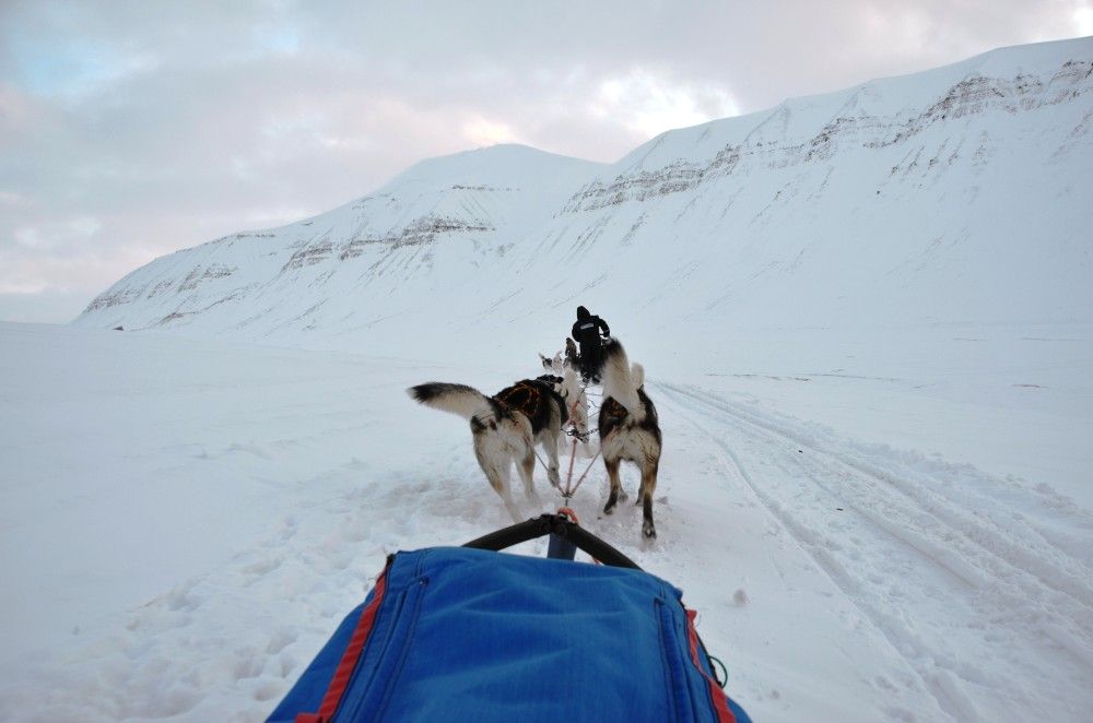 Telenor har iverksatt et pilotprosjekt på Svalbard hvor innovativ teknologi vil gi bedre indikasjoner på skredfare. Foto: Silje Birkelid