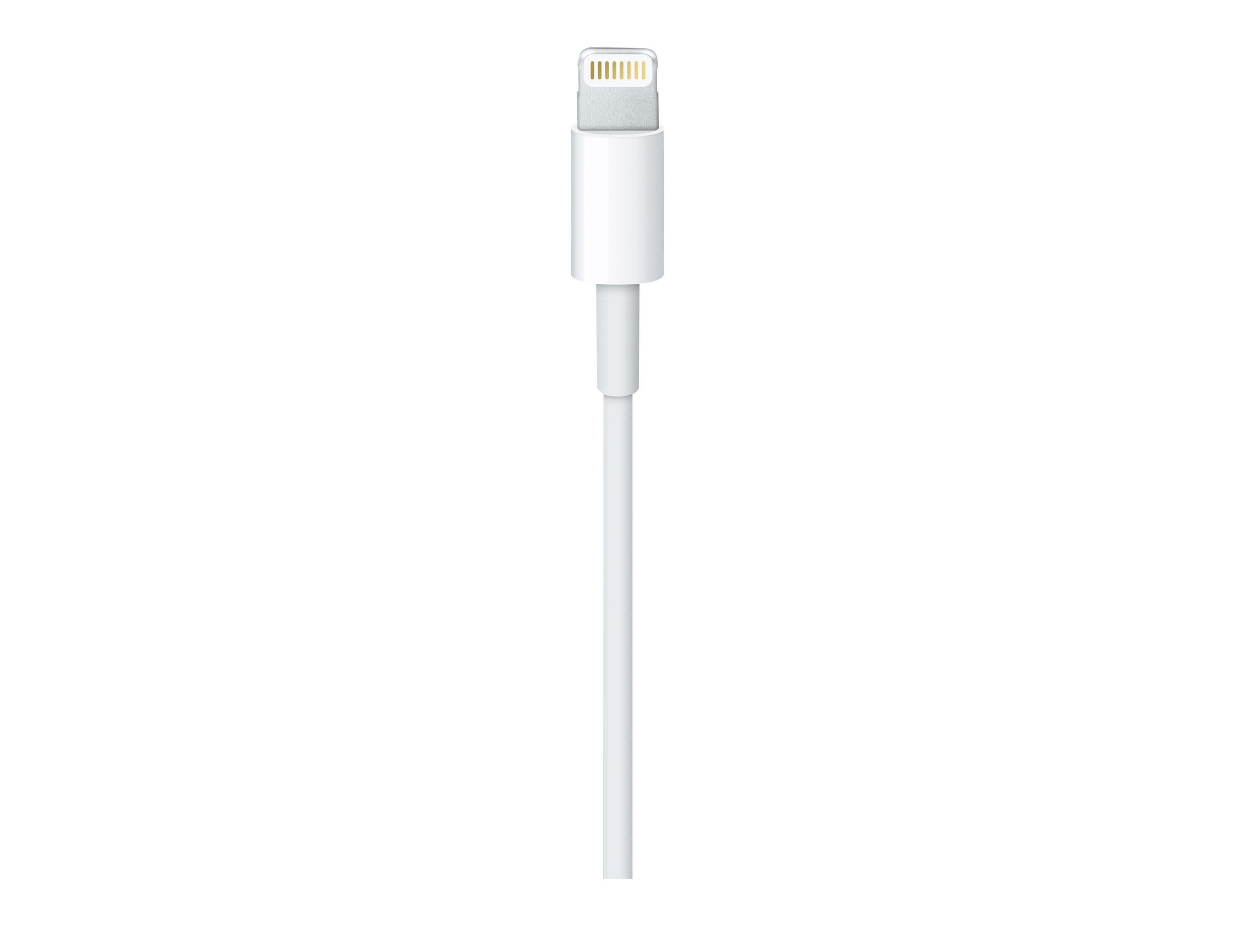 Apple Lightning USB Cable 2M