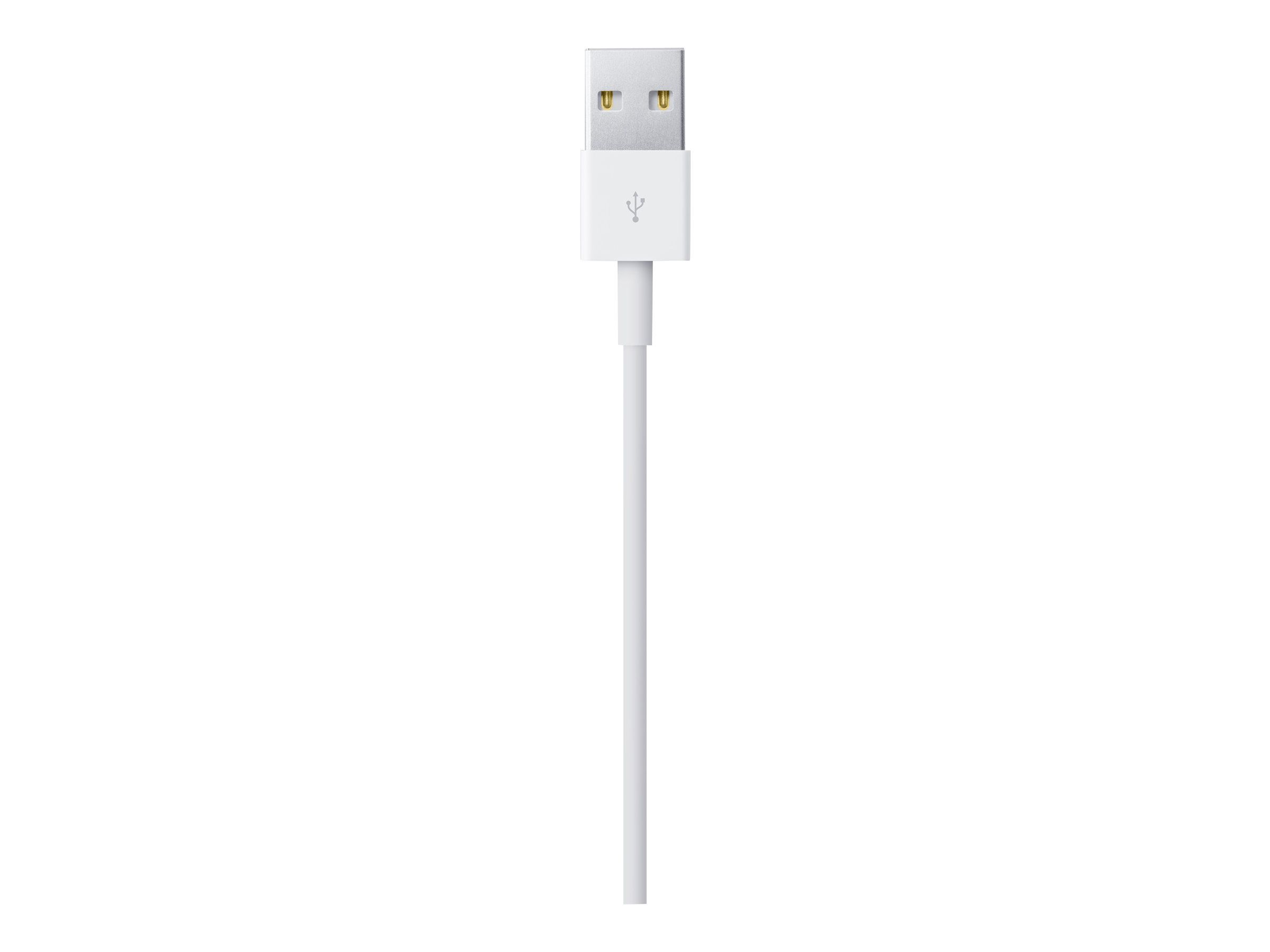 Apple Lightning USB Cable 2M