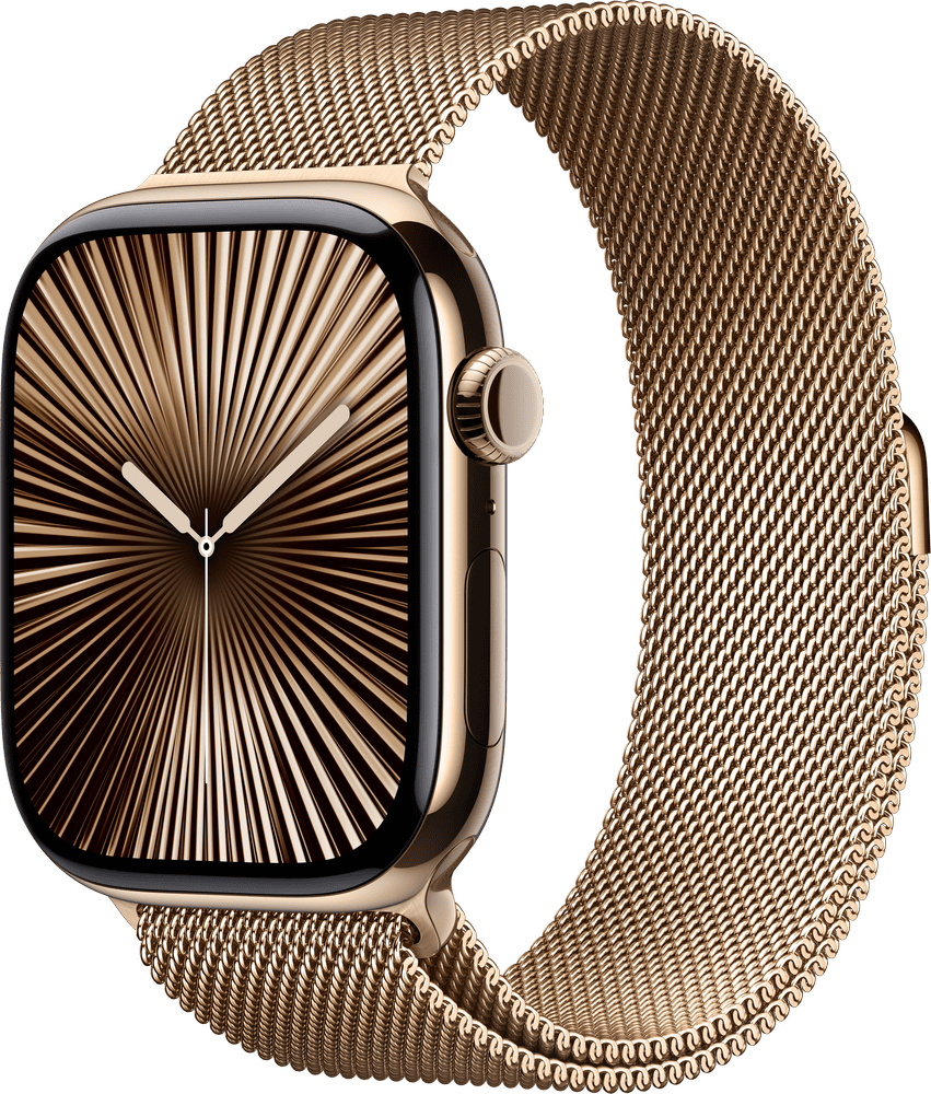 Apple Watch 10 titan gull milanese loop gull 46mm