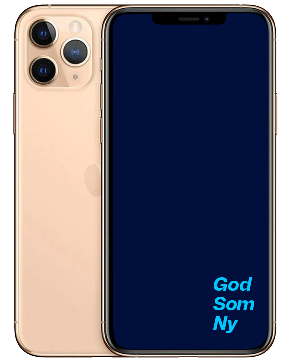 GSN iPhone 11 Pro Max gull