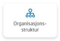 Organisasjonsstruktur