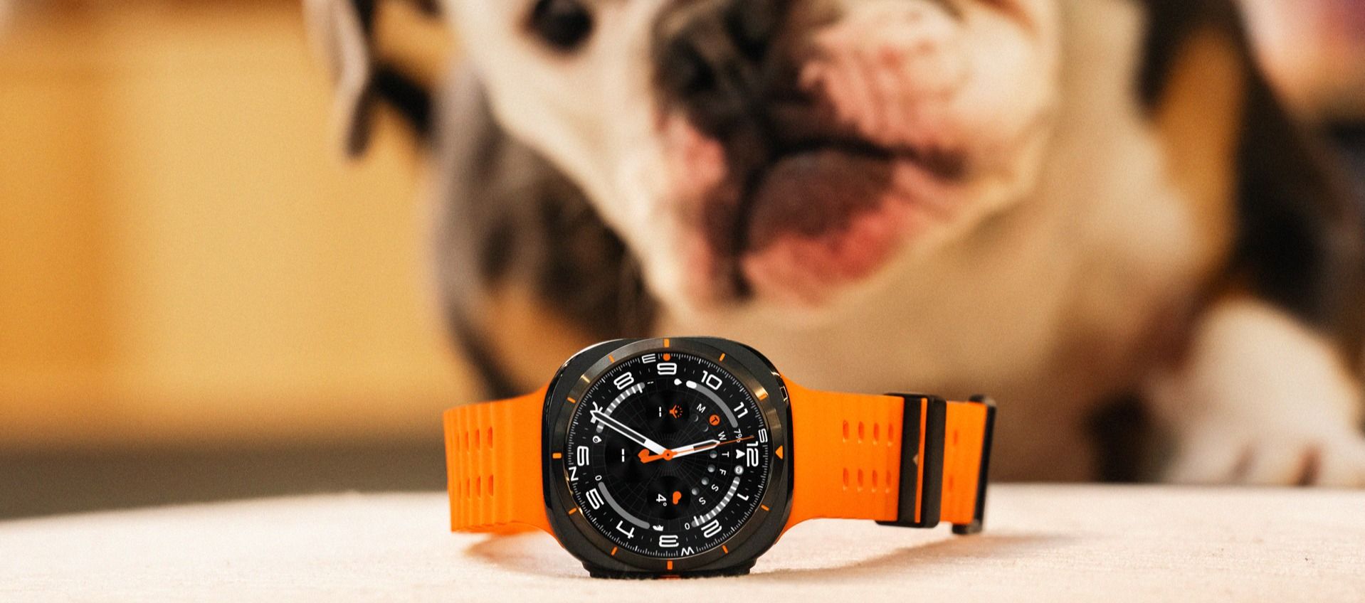 Hund ser på smartklokke
