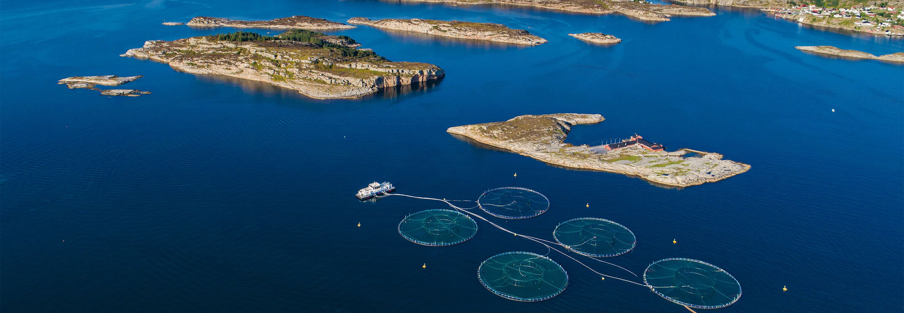 Smart havbruk der havbruksnæringen får mærene på nett