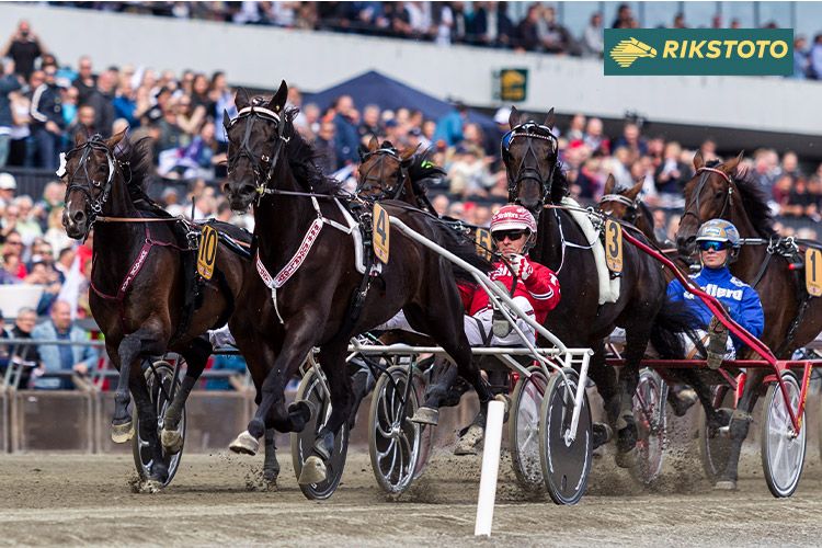 Hest med rytter i sulky deltar i en travkonkurranse 